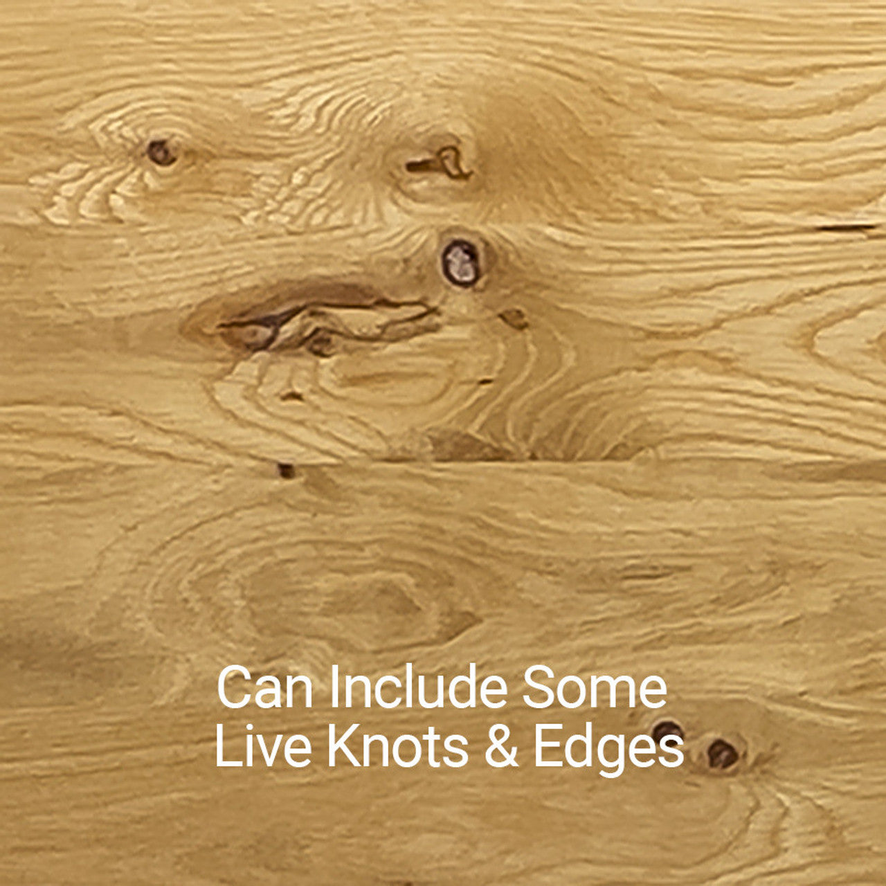 The Harbor Round Table